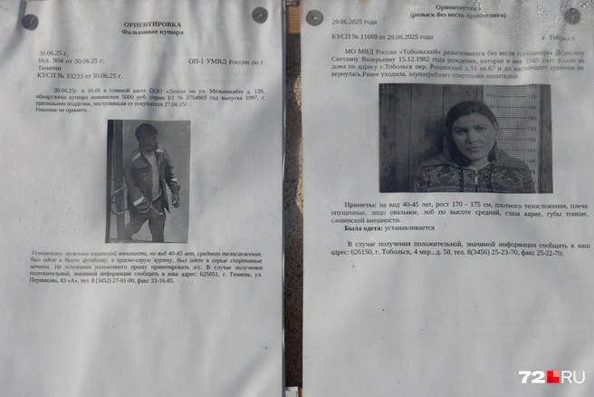 Источник: Ирина Шарова / 72.RU