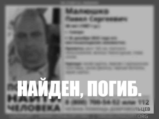 Источник: добровольческий поисково-спасательный отряд «ЛизаАлерт» Самарской области