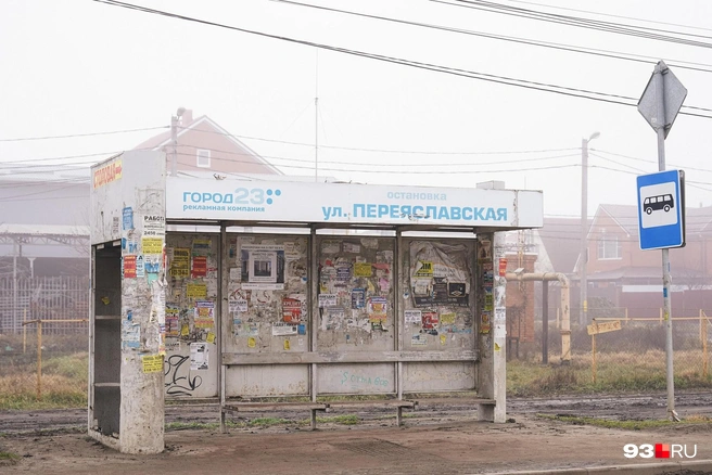 За остановками также обязаны следить в рамках контракта  | Источник: Дарья Паращенко / 93.RU