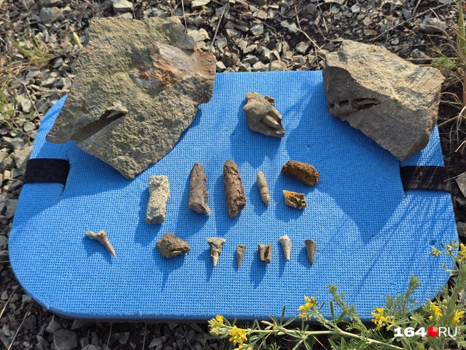 Наш улов за день | Источник: Семен Коротов-Майбах / 164.RU