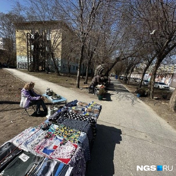 Источник: Павел Пешков / NGS.RU
