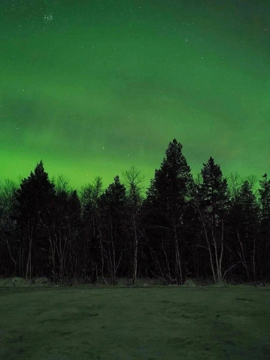 Источник: «МегаТюмень» / T.me