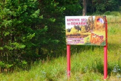 В Пензенской области начался пожароопасный сезон в лесах