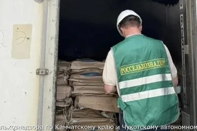 С Камчатки пытались вывезти 924 кг нерки без документов