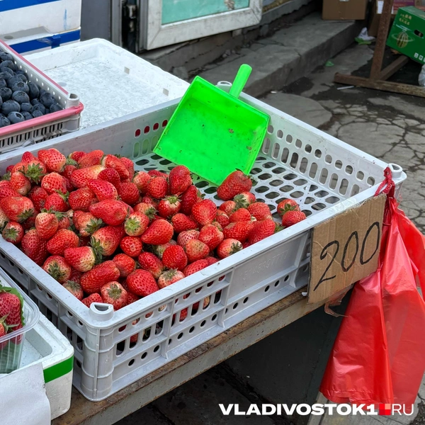Источник: Елена Буйвол / VLADIVOSTOK1.RU
