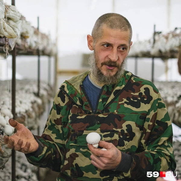 Демьян говорит, что грибы можно не срезать, а просто выкручивать из грунта | Источник: Тимофей Калмаков / 59.RU