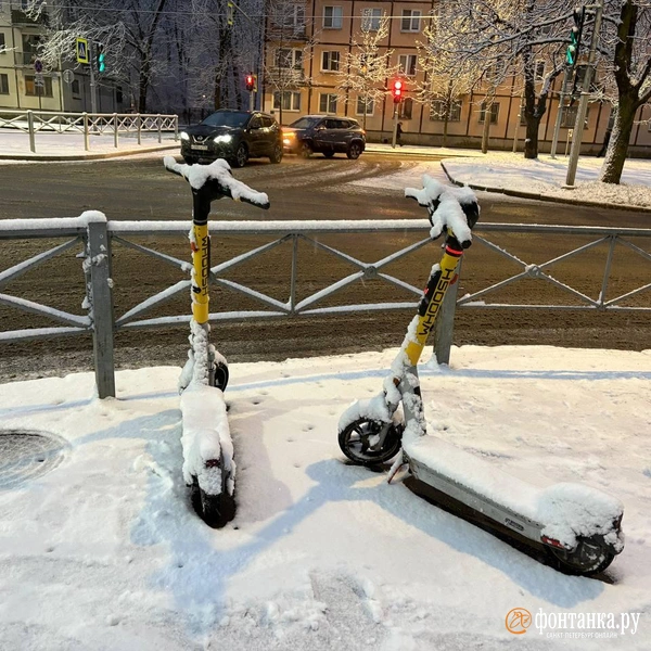 Источник: FONTANKA.RU