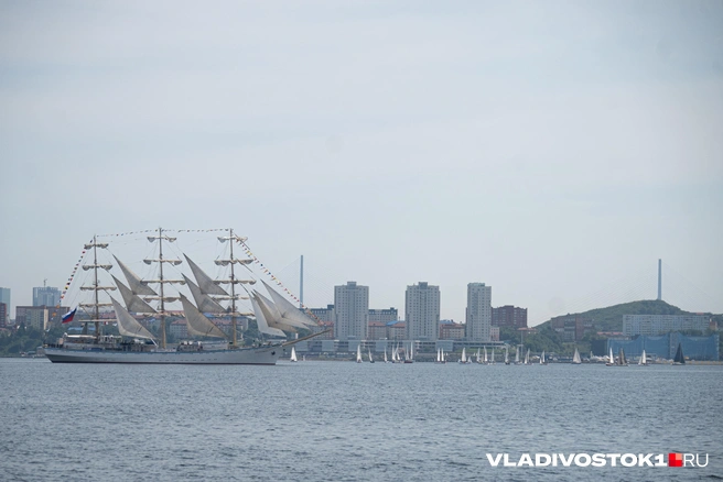 Круизы могут возродить уже в следующем году | Источник: Елена Буйвол / VLADIVOSTOK1.RU