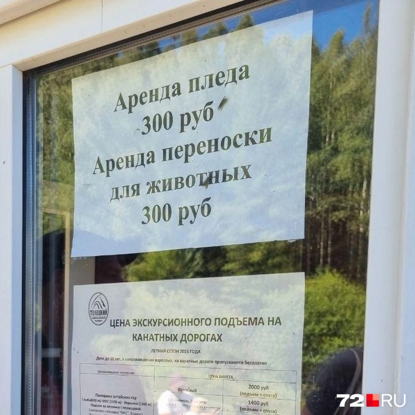 Источник: Наталья Чалкова специально для 72.RU