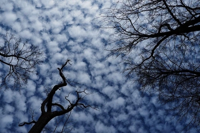 Март в Петербурге теплее нормы: прогноз на выходные