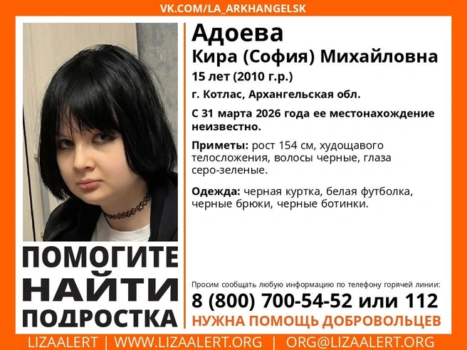 Источник: поисковый отряд «ЛизаАлерт» Архангельской области