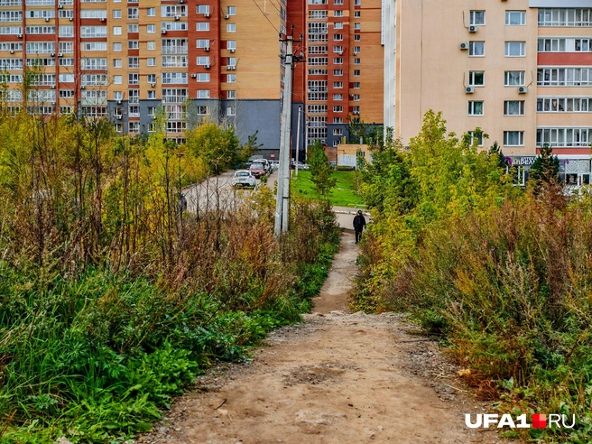 Сквозь заросли протоптана тропинка | Источник: Булат Салихов / UFA1.RU