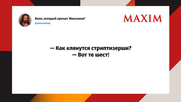 Шутки вторника и «собачки в курточках»