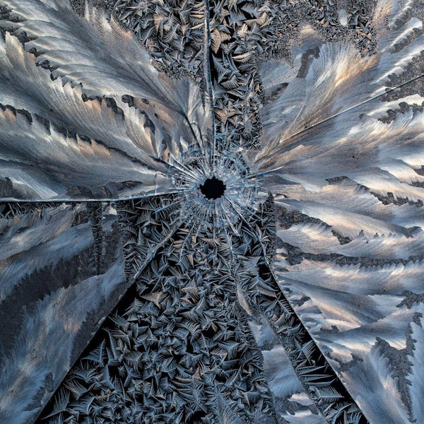 Победитель в номинации «Природное искусство» | Источник: Hannu Ahonen / European Wildlife Photographer of the Year 2025