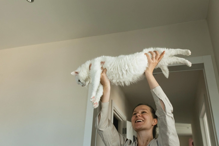 Как живет самая популярная кошка в России: 20 фото, которые вызывают зависть | Источник: личный архив