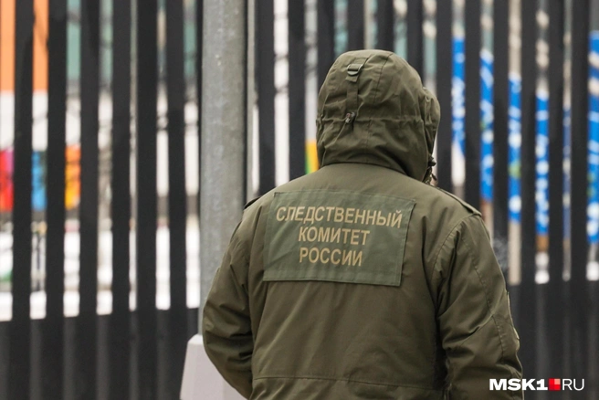 Рязанку подозревают в мошенническом получении соцвыплат | Источник: Артём Устюжанин / MSK1.RU