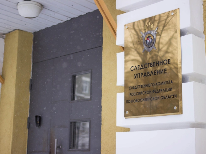 Бывшую замминистра ЖКХ осудили в 2012 году за хищение бюджетных средств в особо крупном размере | Источник: Алина Скитович / NGS.RU