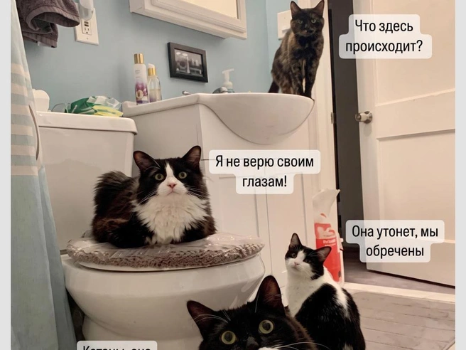 Всегда под присмотром | Источник: Городские медиа