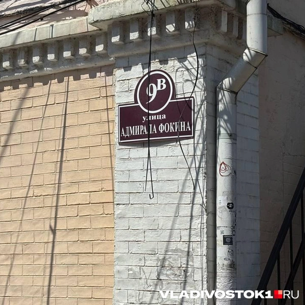 Источник: Елена Буйвол / VLADIVOSTOK1.RU