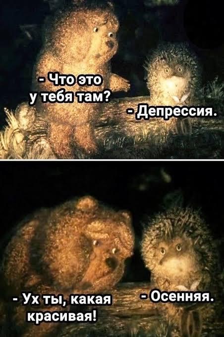 Тоска, насморк и желтые листья: 10 жизненных мемов про осень