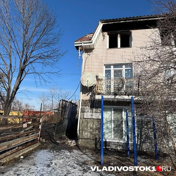 Источник: Елена Буйвол / VLADIVOSTOK1.RU