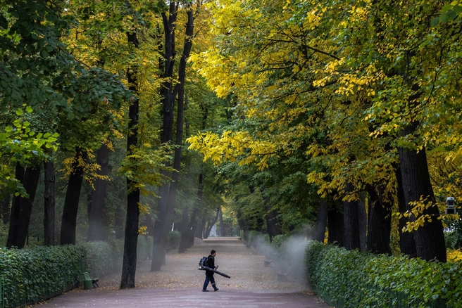 Женщина из Тулы оплатила покупки на маркетплейсе картой коллеги | Источник: Михаил Огнев / FONTANKA.RU