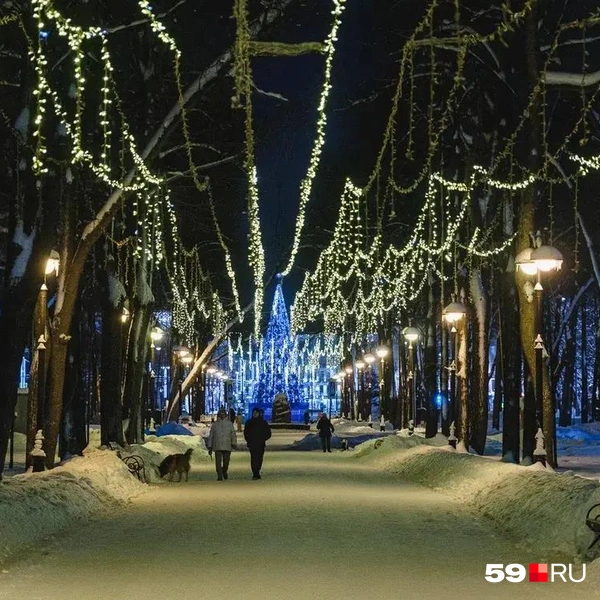 Напоминает французский бульвар | Источник: Тимофей Калмаков / 59.RU