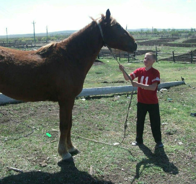 Павел Стяжкин с детства любил лошадей, рассказала его сестра Кристина | Источник: читатель 74.RU
