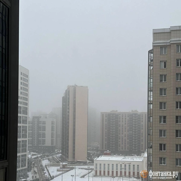 Источник: читатель «Фонтанки»