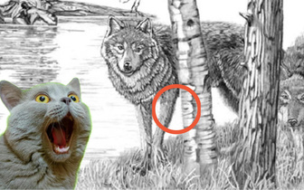 Норвежская задачка на определение деменции: сколько волков видите?