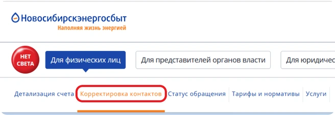 Источник: АО «Новосибирскэнергосбыт»