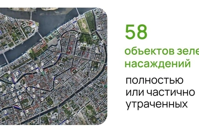 В Петербурге выбрали десятки адресов для нового озеленения
