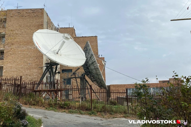 Сообщения о перебоях поступают со всего города | Источник: Елена Буйвол / VLADIVOSTOK1.RU