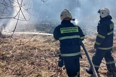 Пожар в Холмском районе перекинулся на лес и ЛЭП