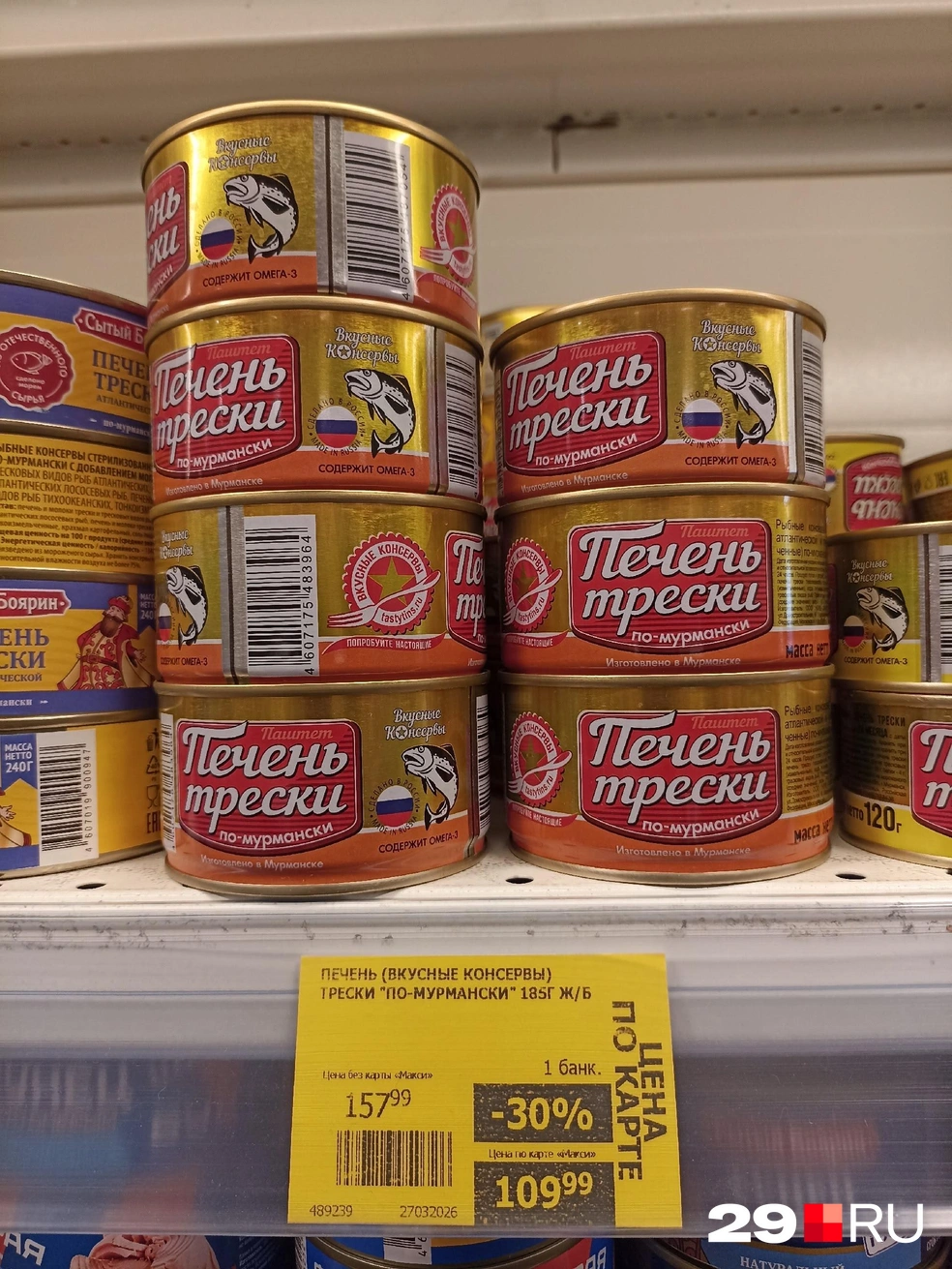 Источник: Иван Митюшёв / 29.RU