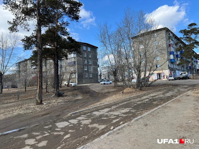 Нет мусора на улицах | Источник: Андрей Бирюков / UFA1.RU