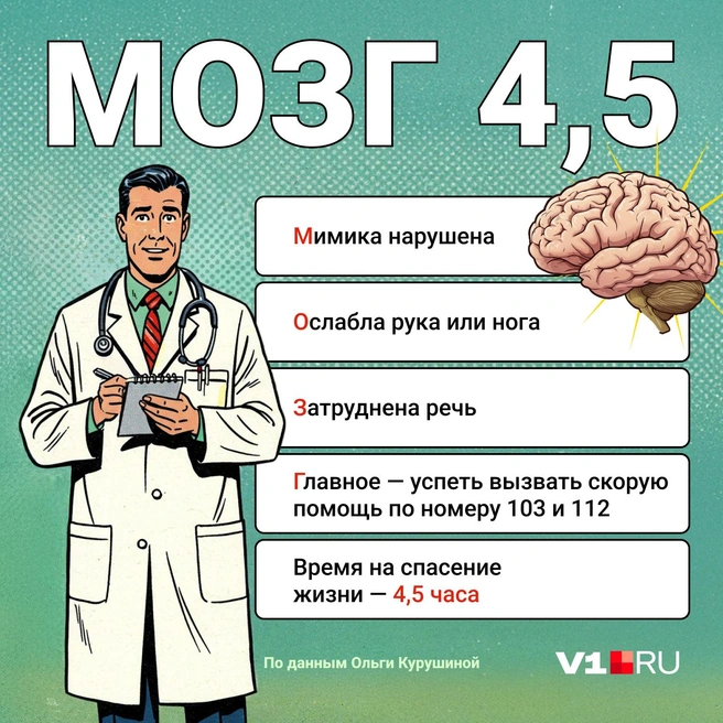 В России разработан диагностический тест МОЗГ-4,5 | Источник: Мария Романова