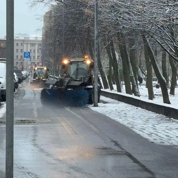 Источник: Комитет по благоустройству Санкт-Петербурга