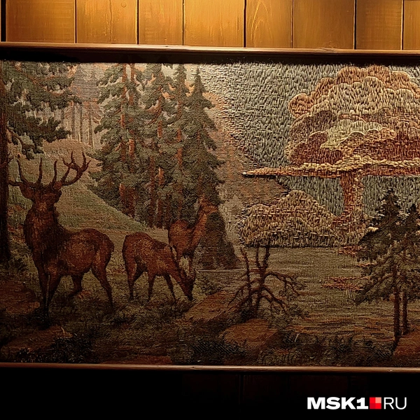 Источник: Полина Баранова / MSK1.RU