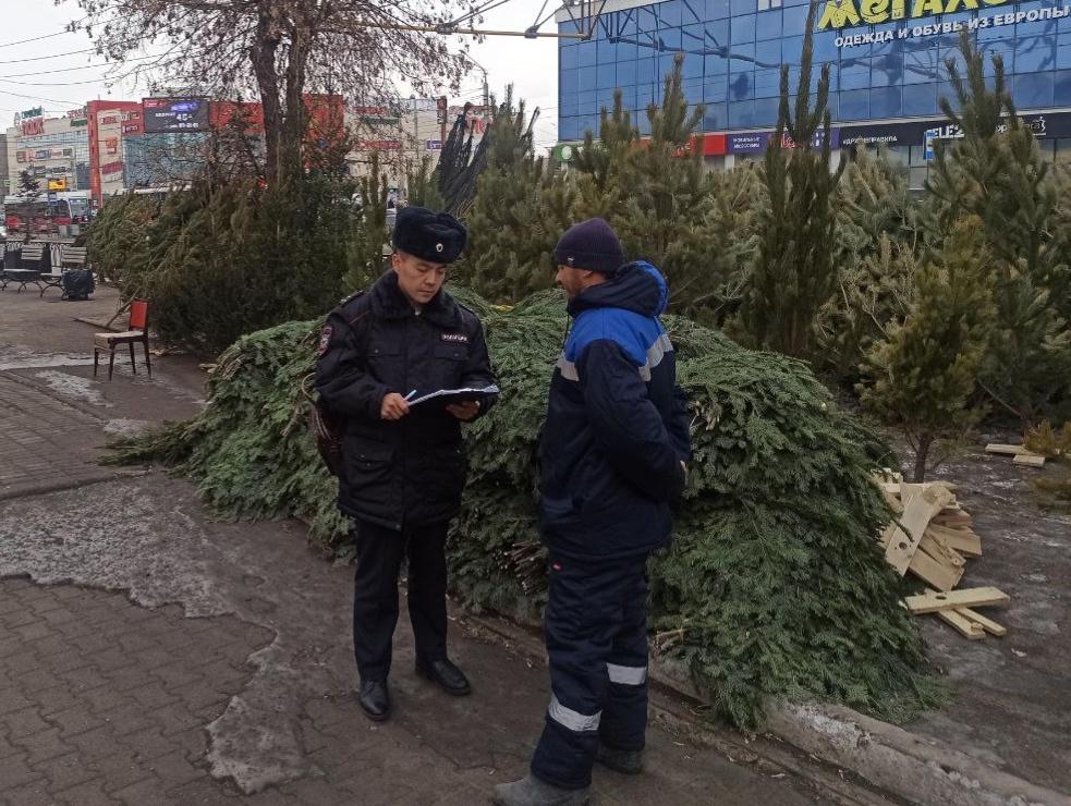 На нелегальных елочных базарах Магнитогорска начали изымать деревья