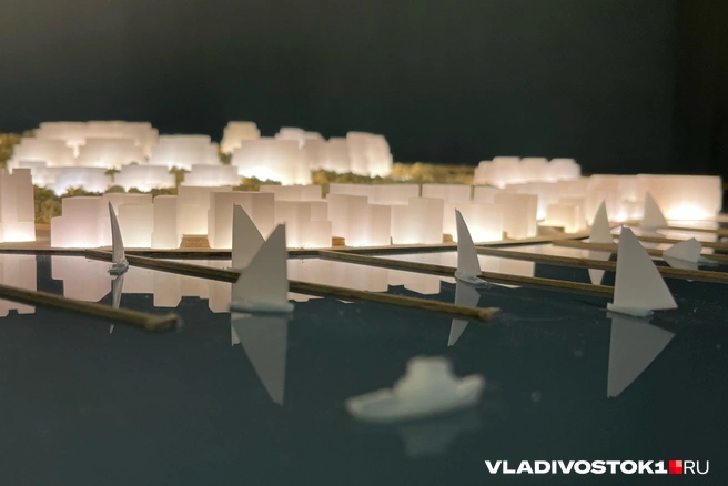 Источник: Елена Буйвол / VLADIVOSTOK1.RU