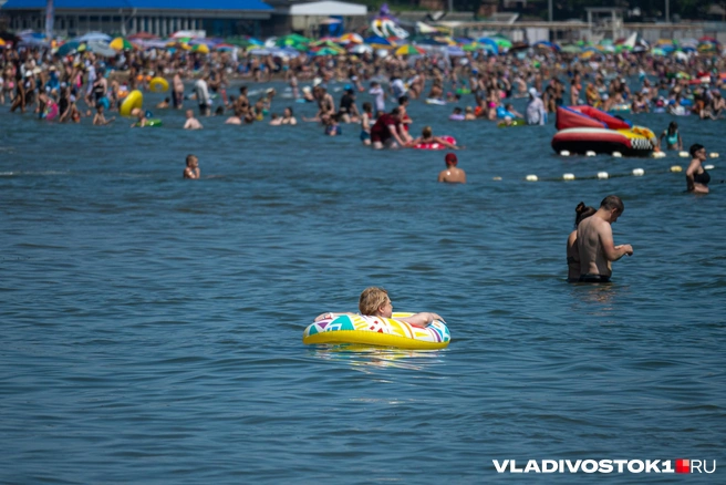 Источник: Елена Буйвол / VLADIVOSTOK1.RU