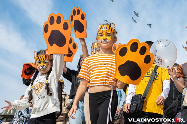 Источник: Елена Буйвол / VLADIVOSTOK1.RU