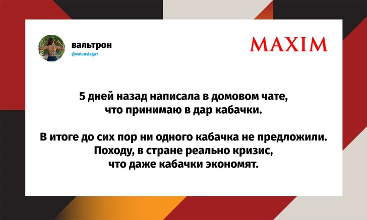 Самые смешные шутки среды и «очень мишево» | Источник: X (Twitter)
