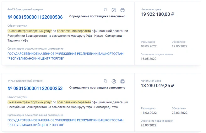 Речь идет об этих двух закупках | Источник: zakupki.gov.ru