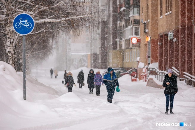 Несмотря ни на что, свежий снег&nbsp;— это красиво | Источник: Максим Серков / NGS42.RU