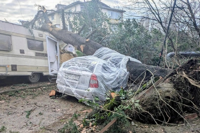 Штормовой ветер до 22 м/с ожидается в Сочи и Сириусе 11 января
