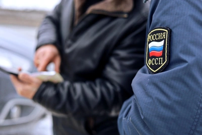 Бердчанин получил условный срок за наезд на приставов