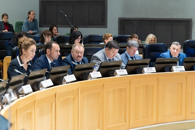 Источник: информационно-аналитический отдел Тюменской городской думы