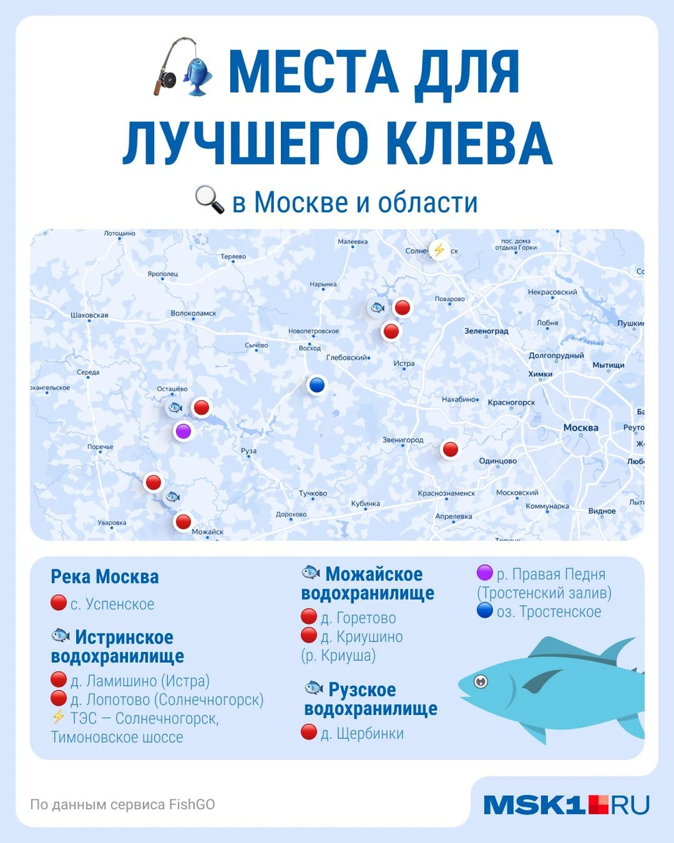 На платных водохранилищах хороший улов гарантирован | Источник: Серафима Пантыкина / Городские медиа, fishgo.online